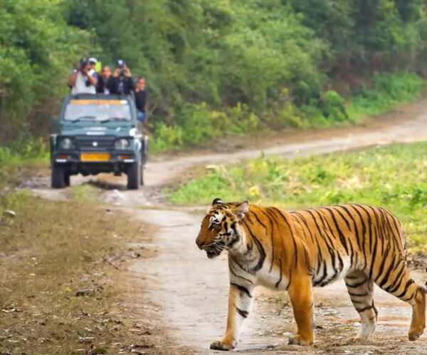 LANSEDOWNE JIMCORBETT TOUR